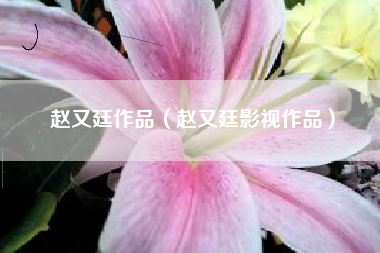 赵又廷作品（赵又廷影视作品）