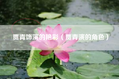 贾青饰演的艳彩（贾青演的角色）