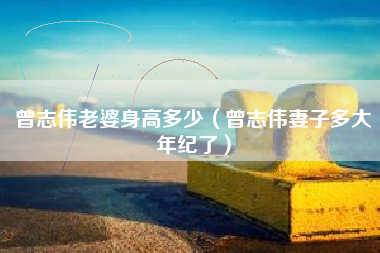 曾志伟老婆身高多少（曾志伟妻子多大年纪了）