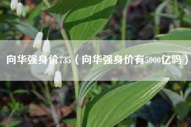 向华强身价735（向华强身价有5000亿吗）