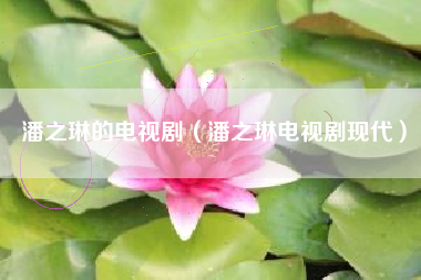 潘之琳的电视剧（潘之琳电视剧现代）