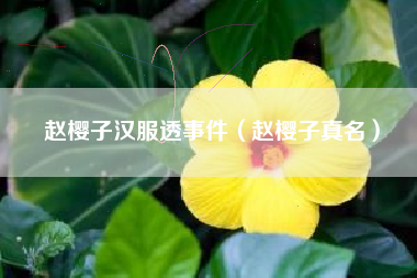 赵樱子汉服透事件（赵樱子真名）