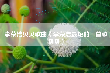 李荣浩贝贝歌曲（李荣浩最短的一首歌贝贝）