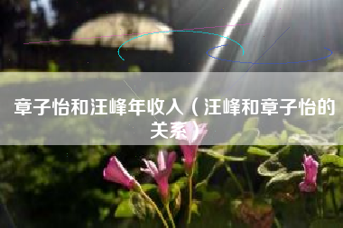 章子怡和汪峰年收入（汪峰和章子怡的关系）