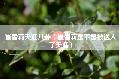 崔雪莉天涯八卦（崔雪莉是不是被送人了天涯）