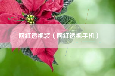 网红透视装（网红透视手机）