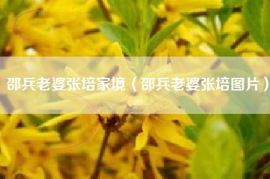 邵兵老婆张培家境（邵兵老婆张培图片）