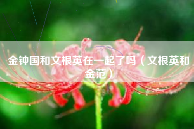 金钟国和文根英在一起了吗（文根英和金范）