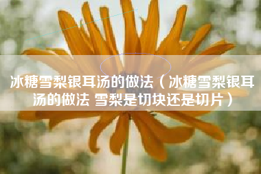 冰糖雪梨银耳汤的做法（冰糖雪梨银耳汤的做法 雪梨是切块还是切片）