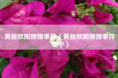 黄磊欧阳娜娜事件（黄磊欧阳娜娜事件知乎）