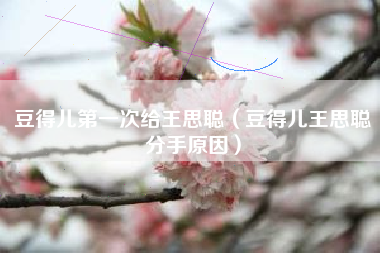 豆得儿第一次给王思聪（豆得儿王思聪分手原因）