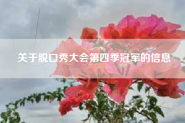 关于脱口秀大会第四季冠军的信息