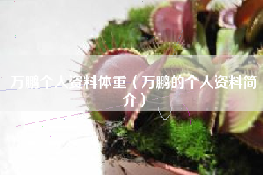 万鹏个人资料体重（万鹏的个人资料简介）