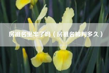 房祖名坐牢了吗（房祖名被判多久）