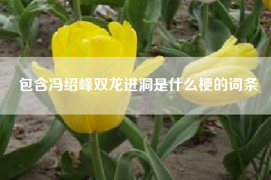 包含冯绍峰双龙进洞是什么梗的词条