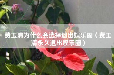 费玉清为什么会选择退出娱乐圈（费玉清永久退出娱乐圈）