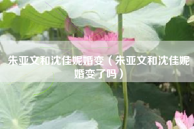 朱亚文和沈佳妮婚变（朱亚文和沈佳妮婚变了吗）