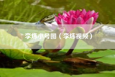 李炜小号图（李炜视频）