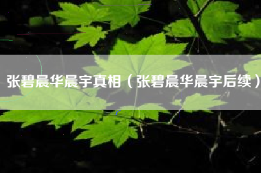 张碧晨华晨宇真相（张碧晨华晨宇后续）
