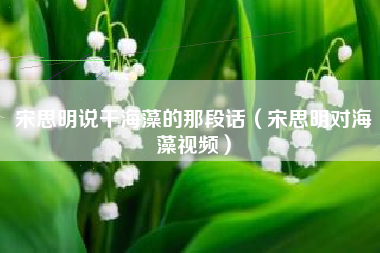 宋思明说干海藻的那段话（宋思明对海藻视频）