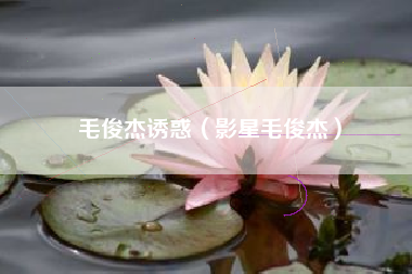 毛俊杰诱惑（影星毛俊杰）