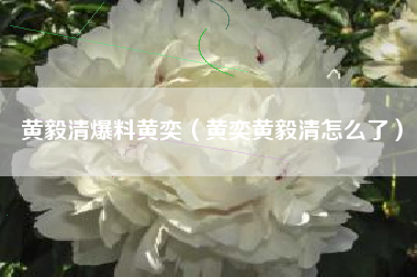 黄毅清爆料黄奕（黄奕黄毅清怎么了）
