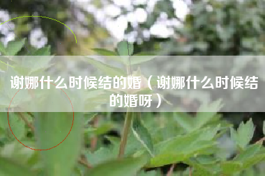 谢娜什么时候结的婚（谢娜什么时候结的婚呀）