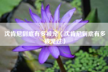 沈肯尼到底有多被宠（沈肯尼到底有多被宠过）