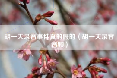 胡一天录音事件真的假的（胡一天录音音频）