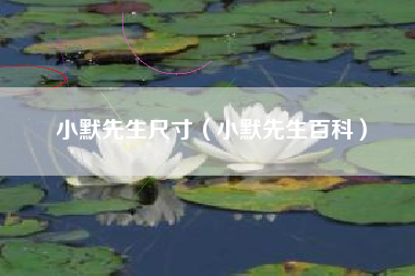 小默先生尺寸（小默先生百科）
