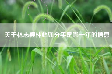 关于林志颖林心如分手是哪一年的信息
