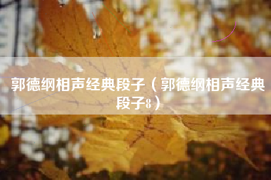 郭德纲相声经典段子（郭德纲相声经典段子8）