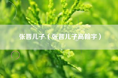 张晋儿子（张晋儿子高翰宇）