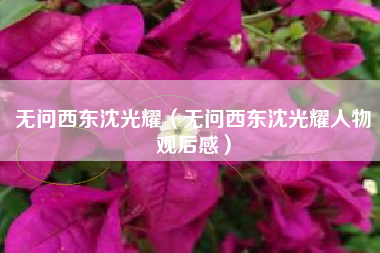 无问西东沈光耀（无问西东沈光耀人物观后感）
