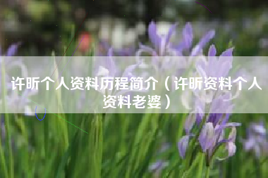 许昕个人资料历程简介（许昕资料个人资料老婆）