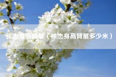 徐杰身高臂展（徐杰身高臂展多少米）