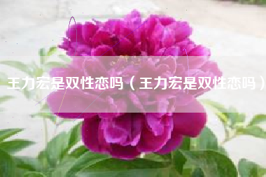 王力宏是双性恋吗（王力宏是双性恋吗）