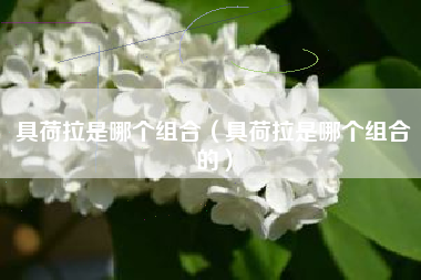 具荷拉是哪个组合（具荷拉是哪个组合的）