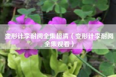 变形计李耐阅全集超清（变形计李耐阅全集观看）