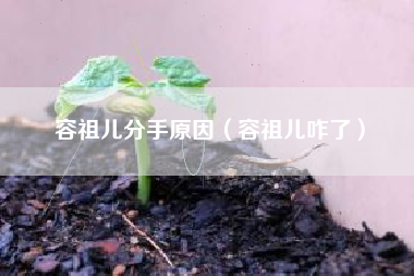容祖儿分手原因（容祖儿咋了）