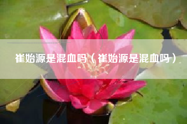 崔始源是混血吗（崔始源是混血吗）