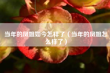 当年的凤姐如今怎样了（当年的凤姐怎么样了）