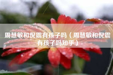 周慧敏和倪震有孩子吗（周慧敏和倪震有孩子吗知乎）