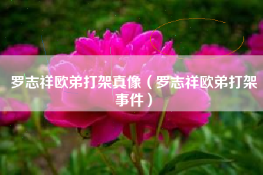 罗志祥欧弟打架真像（罗志祥欧弟打架事件）