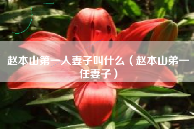 赵本山第一人妻子叫什么（赵本山弟一任妻子）