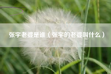 张宇老婆是谁（张宇的老婆叫什么）