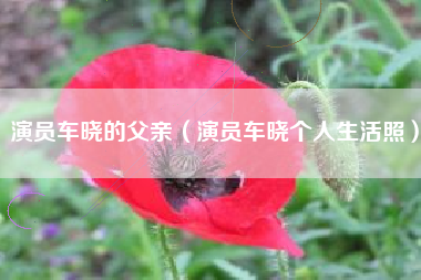 演员车晓的父亲（演员车晓个人生活照）