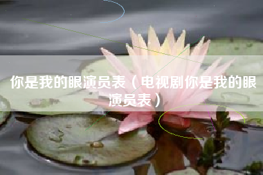 你是我的眼演员表（电视剧你是我的眼演员表）