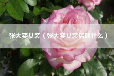 张大奕女装（张大奕女装店叫什么）
