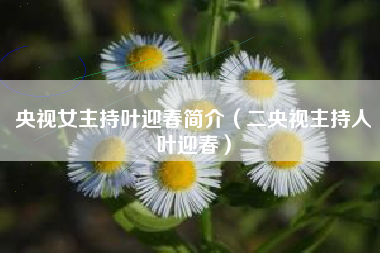 央视女主持叶迎春简介（二央视主持人叶迎春）